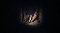 REANIMAL - PlayStation 5 - Angle
