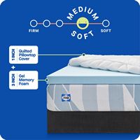 Sealy - Sealy® Dreamlife™ 3” Gel Memory Foam Mattress Topper + 1” Quilted Cooling Cover, Twin - Blue - Angle