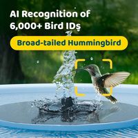 Birdfy Bird Bath Pro AI with Camera, Solar Powered, 1080P HD Bird Camera Auto Capture Bird Bath V... - Angle
