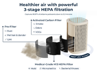 The Windmill Air Purifier, 3-in-1, Ultra-Quiet, HEPA Filter Medical Grade, Small to Medium Rooms ... - Angle