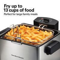 Hamilton Beach - 21 Cup Professional Style Deep Fryer - Silver - Angle