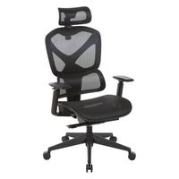 OSP Home Furnishings - Mesh High Back Manager's Chair with Headrest and Self-Adjusting Lumbar Sup... - Angle