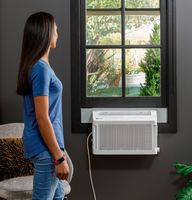 GE Profile - ClearView 250 Sq. Ft. 6,100 BTU Smart Ultra Quiet Window Air Conditioner - White - Angle