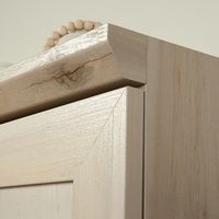 Sauder - Homeplus 2-Door Storage Cabinet - Gray - Angle