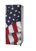 LG - 6.9 Cu. Ft. Top-Freezer Refrigerator with Semi Auto Defrost - American Flag - Angle