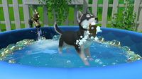 Little Friends: Puppy Island - Nintendo Switch - Angle