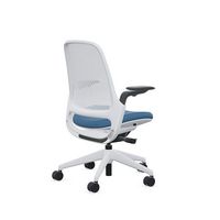 Steelcase - Series 1 Air Chair with Seagull Frame - Era Cobalt / Seagull Frame - Angle