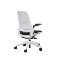 Steelcase - Series 1 Air Chair with Seagull Frame - Era Onyx / Seagull Frame - Angle