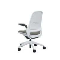 Steelcase - Series 1 Air Chair with Seagull Frame - Era Night Owl / Seagull Frame - Angle