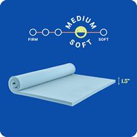 Sealy - Sealy® Dreamlife™ 1.5” Gel Memory Foam Mattress Topper, Queen - Blue - Angle