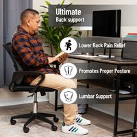 Mind Reader - Ergonomic Lower Back Cushion, Office Chair, Posture Corrector, Memory Foam, 15.5
