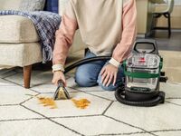 BISSELL - Little Pet Pro Portable Carpet Cleaner - Green - Angle