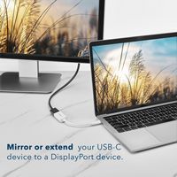 Insignia™ - USB-C to DisplayPort Adapter - White - Angle