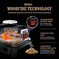 Ninja - Woodfire Outdoor Grill & Smoker, 4-in-1 Functionality, Authentic Woodfire Flavors, Electr... - Angle