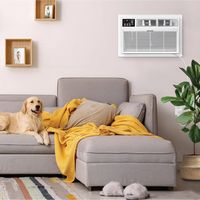 Whirlpool - 550 sq ft 12,000 BTU 230V Through the Wall Air Conditioner with Supplemental Heat - W... - Angle