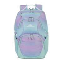 High Sierra - BTS 2020 Swoop SG Backpack - Ombre Purple / Blue - Angle