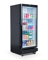 Premium Levella - 6.0 Cu. Ft. Single Door Display Refrigerator - Black - Angle