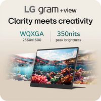 LG - gram +view 17” IPS WQXGA 60Hz Portable Monitor (USB Type-C, mini-HDMI port) - Titan Silver - Angle