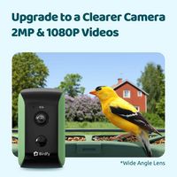 Birdfy 2 Smart Bird Feeder with Camera, AI Bird Recognition, Weatherproof, Eco-Friendly Design - ... - Angle