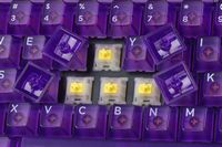 DROP - CSTM80 TKL Wired Mechanical Gaming Keyboard with RGB Backlighting - Atomic Purple - Angle