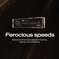 Seagate - FireCuda X1070 SSD 4TB - Angle