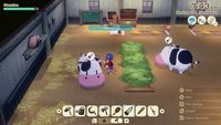 Story of Seasons: Grand Bazaar - Nintendo Switch - Angle