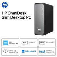 HP - OmniDesk Slim Desktop - Intel Processor 300 - 8GB DDR5 Memory - 256GB SSD - Meteor Silver - Angle