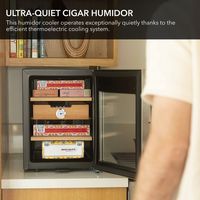 Whynter - 1.2 Cu. Ft. Cigar Cooler Humidor - Black - Angle