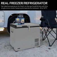 Whynter - Portable 1.4 Cu. Ft. Mini Fridge - Gray - Angle