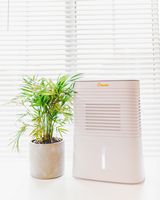 CRANE - 4 Pint Dehumidifier - White - Angle