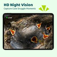 BIRDFY - Smart Bird House, Solar Powered, 1080P HD Live View Bird House w/ Camera, Perfect Viewin... - Back View