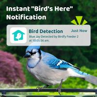 Birdfy 2 Smart Bird Feeder with Camera, AI Bird Recognition, Weatherproof, Eco-Friendly Design - ... - Back View