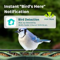 Birdfy 2 Smart Bird Feeder with Camera, Dual-Angle Views,AI Identifies 6000+ Birds,Solar-Powered,... - Back View
