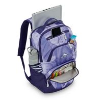High Sierra - BTS 2020 Swoop SG Backpack - Purple Marble Swirl - Back View