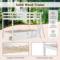 Costway Twin Over Twin Bunk Bed with 2 Storage Drawers Ladder No Box Spring Needed - White - Back View