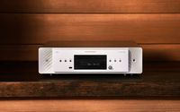 Marantz - CD60 CD Player with HDAM + HDAM-SA2 - Silver Gold - Back View