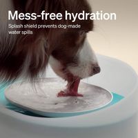 PETLIBRO - Capsule Dog Water Fountain with Replacement Filter Bundle - White - Back View