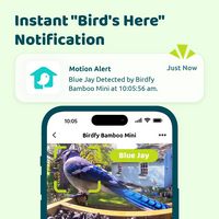 BIRDFY - Bamboo Feeder Mini – 1080P HD, Night Vision, Lifetime Free AI, Perfect Outdoor Gift for ... - Back View