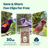 Birdfy Smart Bird Feeder with Camera, Bird Watching Camera with Solar Panel, AI Identify 6000+ Sp... - Back View