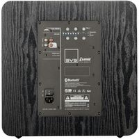 SVS - SB-3000 Subwoofer - Black Ash - Back View