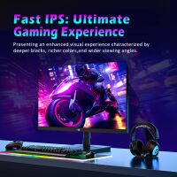 Titan-army - P2510HS 24.5 Inch 300Hz Gaming Monitor, Fast IPS 1ms GTG, 1080P FHD, FreeSync, 121% ... - Back View
