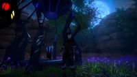 Seed of Life - Xbox - Back View