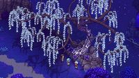 Sea of Stars - PlayStation 5 - Back View