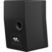 SVS - Ultra Evolution Nano 2-Way Bookshelf Speaker (Each) - Black Oak Veneer - Back View