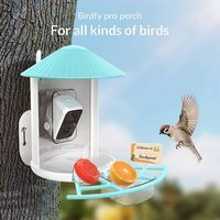 Pro Perch Extension For Birdfy Smart Bird Feeders - Blue - Back View