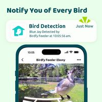 BIRDFY - Smart Bird Feeder with Camera, Bird Watching Camera with Solar Panel, AI Identify 6000+ ... - Back View