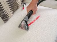 BISSELL - Little Green ProHeat Pet Portable Carpet Cleaner - Wasabi - Back View