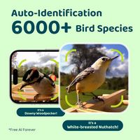 BIRDFY - Smart Wild Bird Feeder with Camera for Outdoor , AI Enabled Bird Recognition & Solar Pow... - Back View