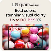 LG - gram +view 17” IPS WQXGA 60Hz Portable Monitor (USB Type-C, mini-HDMI port) - Titan Silver - Back View