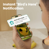 BIRDFY - Smart Bird Feeder with Camera, Durable Metal Bird Feeders for Outdoors, AI Identify Bird... - Back View